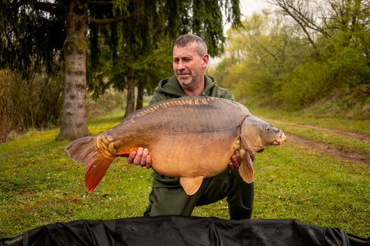**🚀 The Harbour Run: Giorgio Leads Strong 29-Carp Effort**