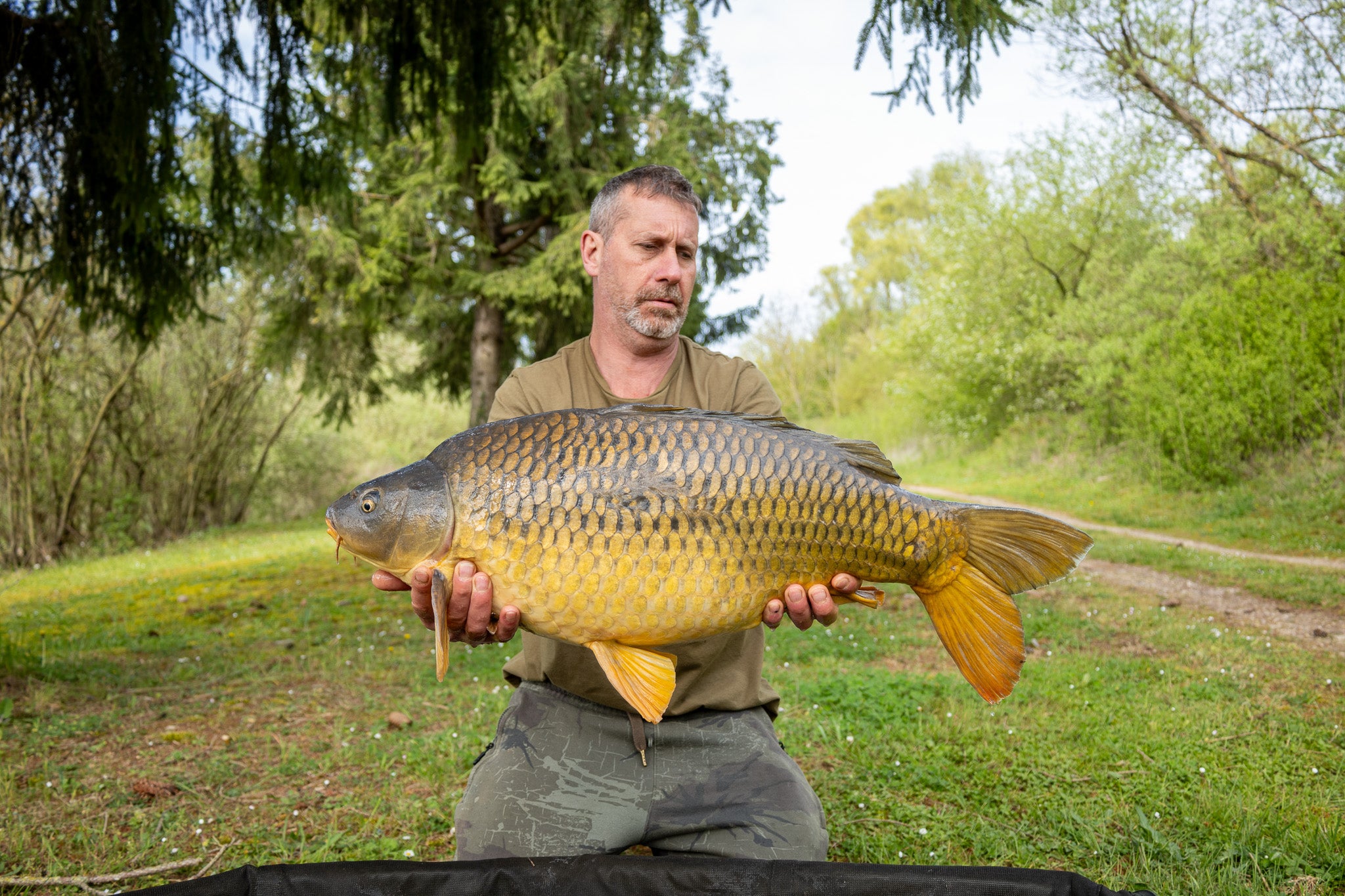 THE CARP TANK 