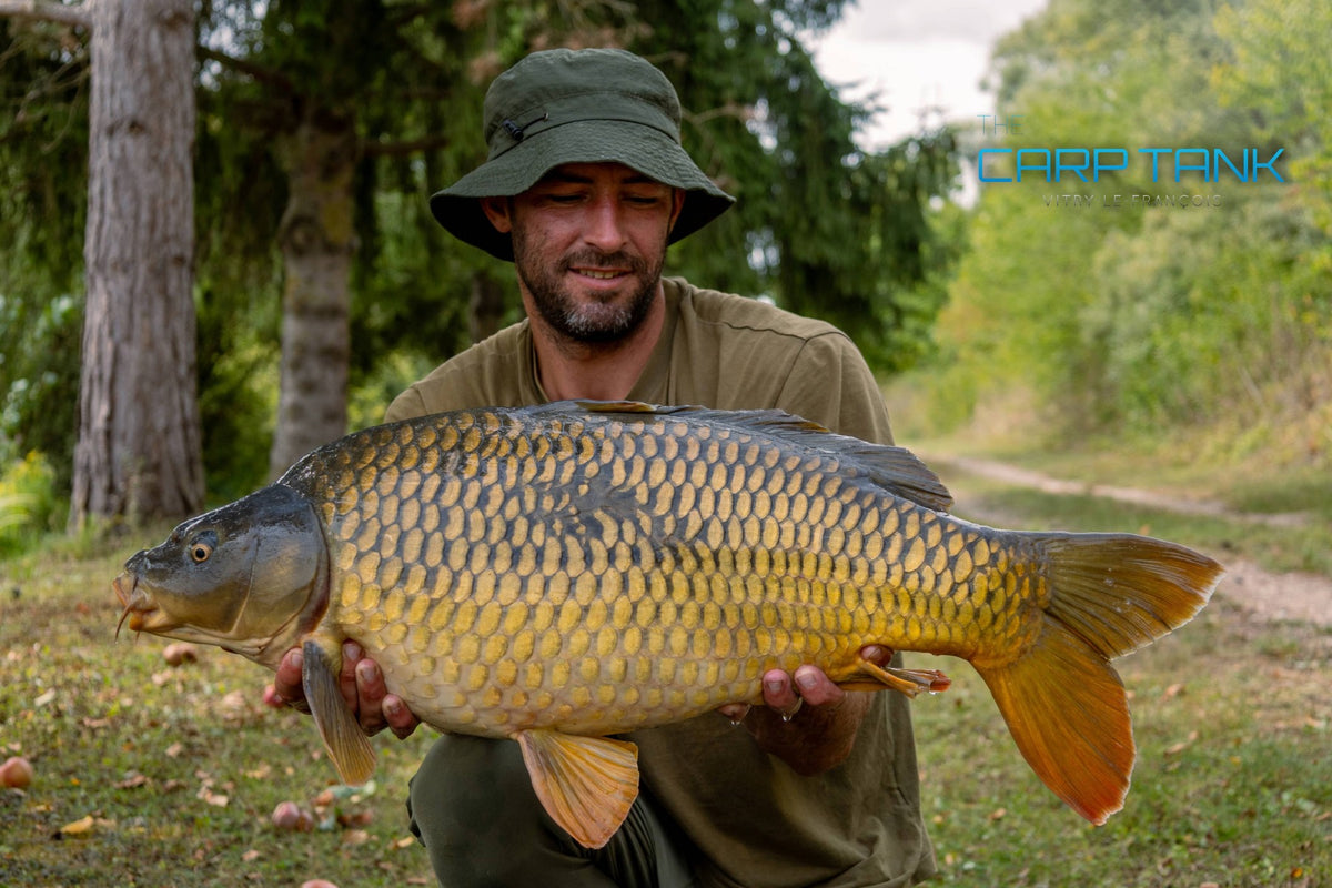 THE CARP TANK 